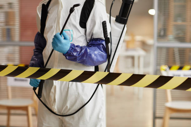 Professional Sewage Cleanup technician working in Waverly, OH